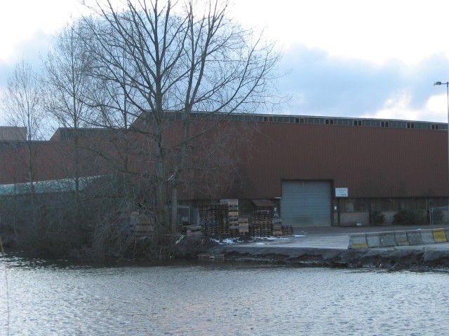 Czaar Peterterrein