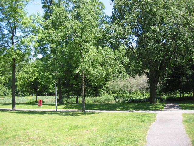 Vliegenbos